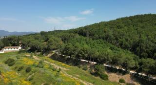 Agriturismo Pian di Farinello - Casa Pallini - 9