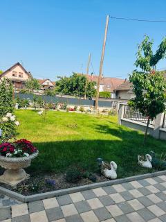 Appartement Entre Strasbourg Et Colmar - Proche d'Europa Park - Sermersheim - 2