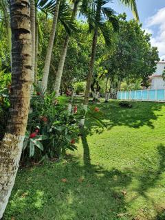 PAVILLON CARAIBE - Petit-Bourg - 5