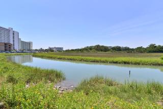 Inlet Waterfront Steps to Beach w Pool - Myrtle Beach - 0