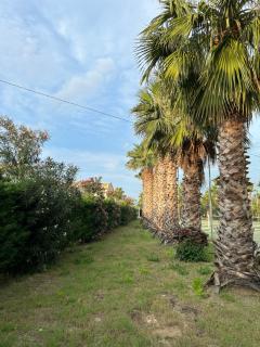 Villetta sul mare in Resort Village - Campofelice di Roccella - 3
