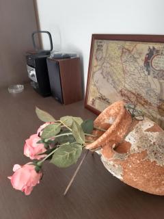 Studio apartman Nissa, Maslenica - 1