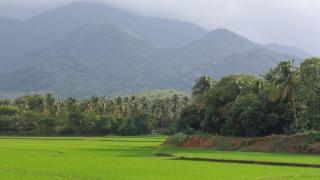 Yasuragi Boutique Resort - 2