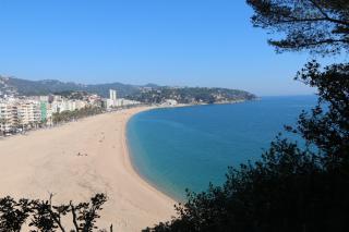 Apartaments Sala Mar - Lloret de Mar - 0