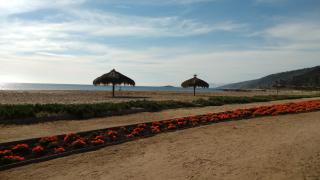 A Pasos de la Playa - Papudo - 4