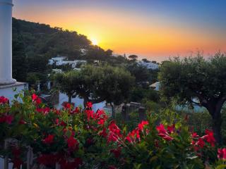 Villa Domenicanda - Capri - 9