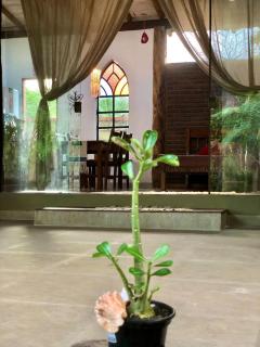 Vila dos Jasmins Casa - 5