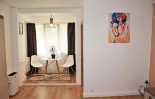 Studio Dristor - foarte curat si frumos - Bucarest - 9