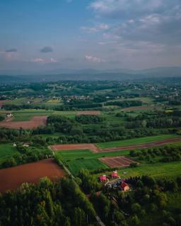 Domki na Górniej Łące - Domek Słowik - Łazany - 2