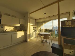Studio climatisé, lumineux avec vue mer et parc - 9