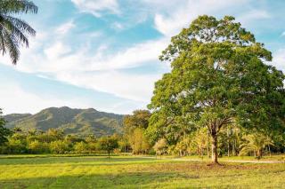 Hacienda La Huerta, Puerto Plata - San Felipe de Puerto Plata - 3