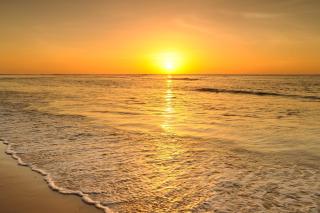 GREAT PRIVATE VILLA for family beach holidays and cultural outings near Forte dei Marmi RECOMMENDED - 7