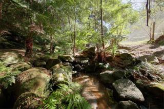 Ancient Future style at Warby Sabi - 1