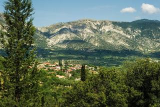 Garbis Garden View - 1