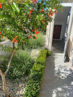 Apartman Danijela - Vodice - 3