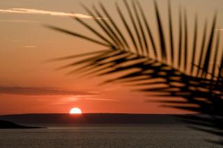 Miral Apartments - Supetarska Draga - 1