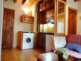 Apartamento acogedor Aigüestortes 3 - Pla de l'Ermita - 0