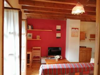 Apartamento acogedor Aigüestortes 3 - Pla de l'Ermita - 3