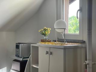 APARTMAN Pahuljica - Kruševac - 7