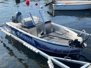 Exclusive tranquil villa by the sea, boat available - Drottningskär - 5