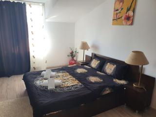Casa Lions - Timişoara - 4