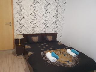 Casa Lions - Timişoara - 6
