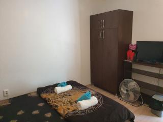 Casa Lions - Timişoara - 9