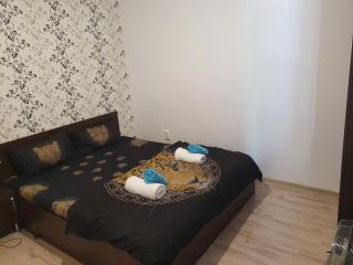 Casa Lions - Timişoara - 7
