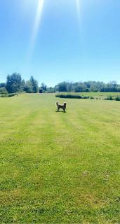 South Haven - Aylesford - 1