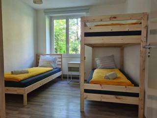 Gartenwohnung im Zentrum von Vira/Gamborogno - 5