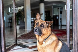 Fantinello Hotel - Caorle - 1