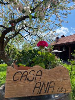 Casa Ana Cluj - Cluj-Napoca - 6