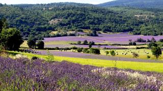 Entre Vignes et Collines - Méthamis - 3
