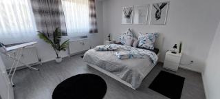 Ferienwohnung 90 m2 in Sulzbach 2 Minuten Fußweg zum Krankenhaus - Sulzbach - 8