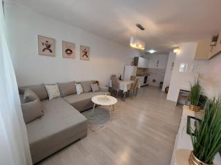 Apartman Golden Star - 8