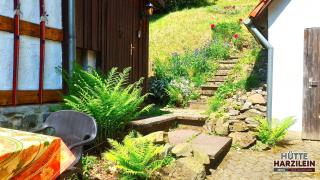 Arode Hütte Harzilein - Romantic tiny house on the edge of the forest - 1