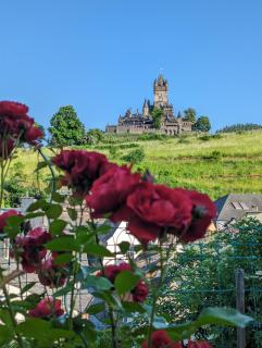 Ferienwohnung an der historischen Stadtmauer - Cochem - 4