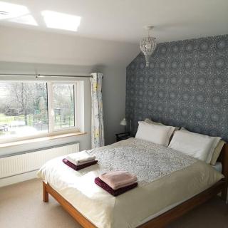 Hide on the Hill Cottage - Wells - 6