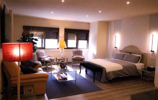 GOYA Loft de Categoría Nuevo - Madrid - 1