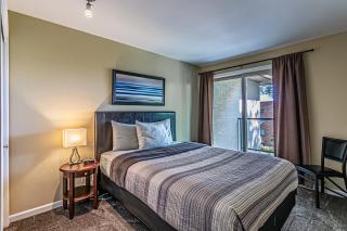 Water View, Best Area, 2 Bedrooms, WD, Jacuzzi Bath, New Carpet, Balcony, View, 825sf - Tacoma - 3