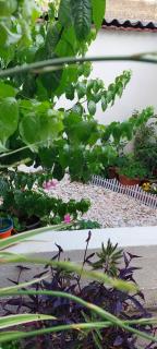 Trogir holiday house - Trogir - 7