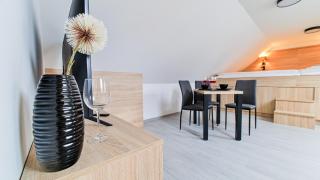 SALAŠKA penzion - Staré Město - 9