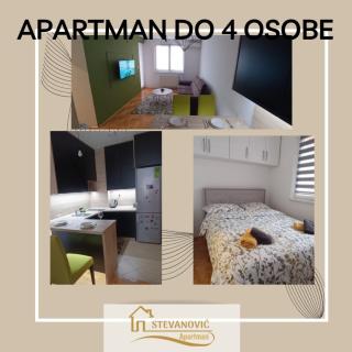 Apartman Stevanovic BN - Bijeljina - 1