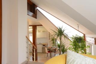 Les Glycines du Sommerberg - 4