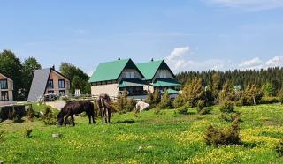 Holiday Home Darko - Žabljak - 2
