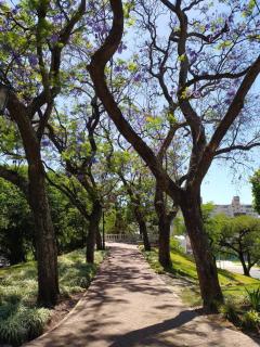 Depto de lujo con pileta en San Telmo - 6