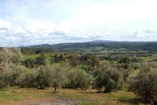 Casa Belvedere -tranquillità tra bosco e ulivi- - 3