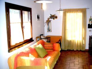 Casa Belvedere -tranquillità tra bosco e ulivi- - Riparbella - 1