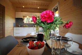 Zielony Zakątek 668 - 415 - 737 - 1