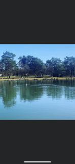Glampingzelt Heide - Lodge - Soltau - 6